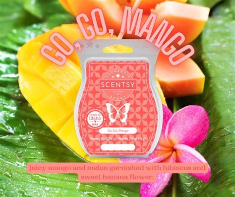 go go mango scentsy|go go mango scentsy bar.